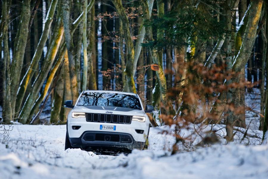  Jeep Grand Cherokee Trailhawk 2016 года  (WW) (фото 12 из 40)